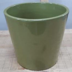 Ceramic Dida Orchid Pot Green Shiny 13 CM