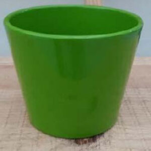Ceramic Dida Orchid Pot Green Shiny 13 CM